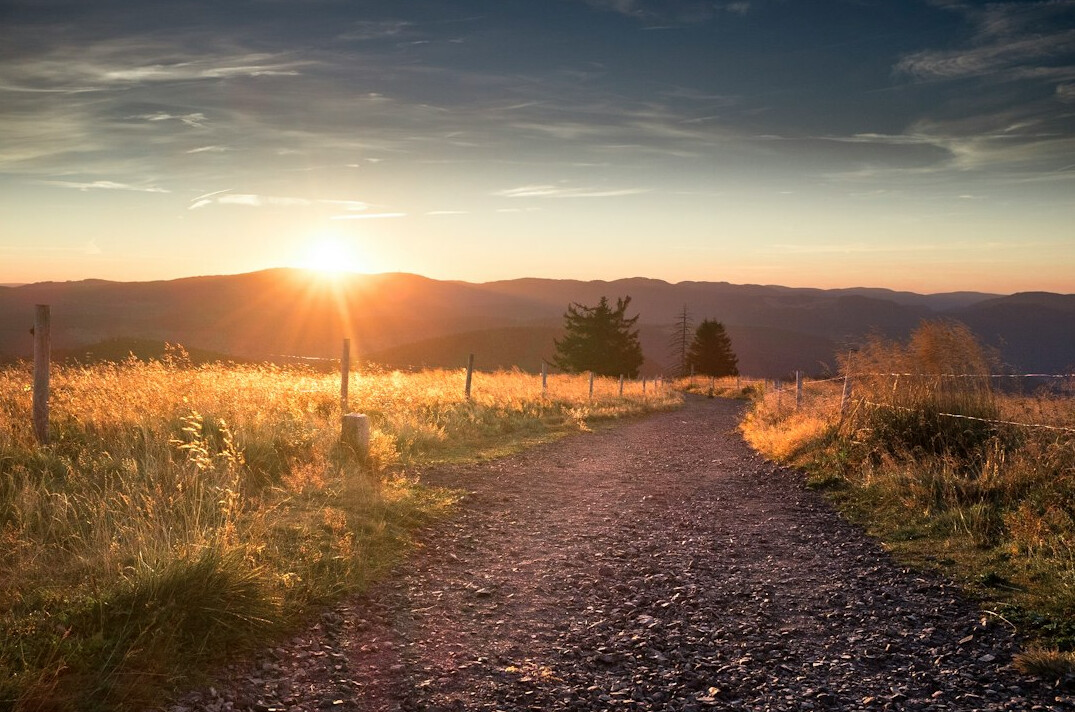 financial freedom path